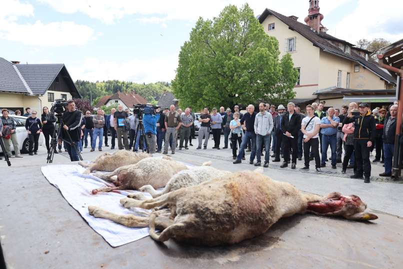 protest-kmetov, zgornje-gorje