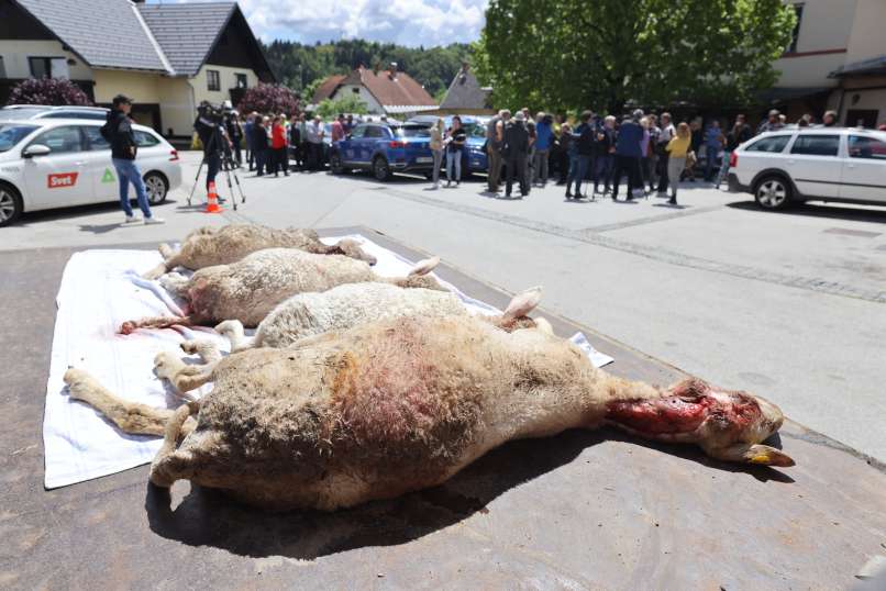 protest-kmetov, zgornje-gorje