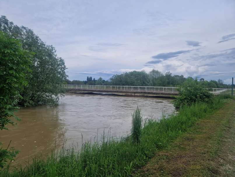 formin, drava