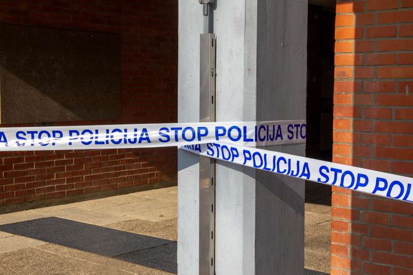 slovenska policija, zločin