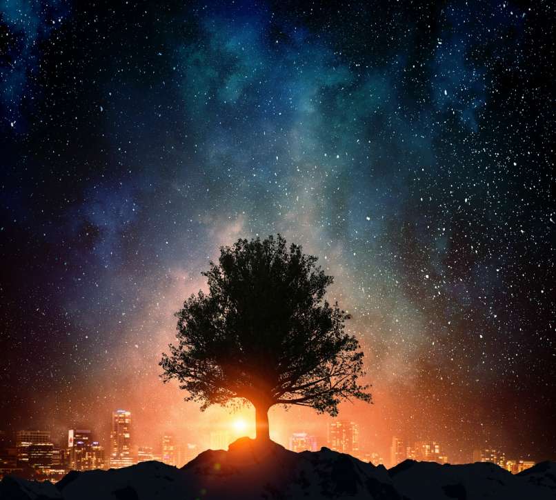 horoskop