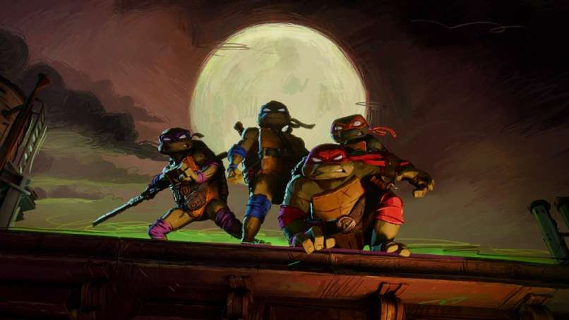 Ninja Želve, znane tudi kot Teenage Mutant Ninja Turtles (TMNT), so se prvič pojavile v ameriških st