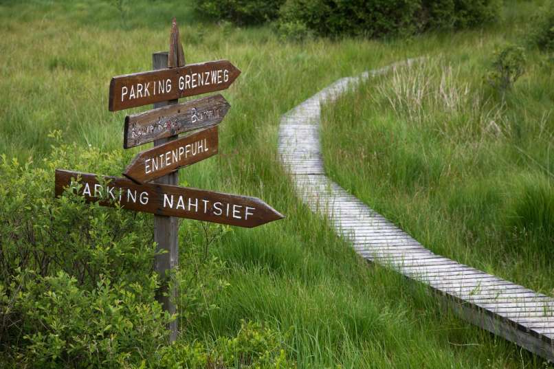 Hautes Fagnes, High Fens