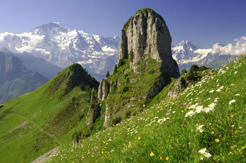 Daubenhorn