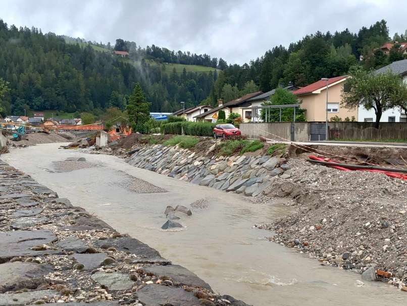 meža, mežica, 30.8.2023