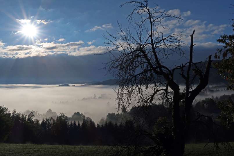 megla, ljubljanska kotlina, studenčice