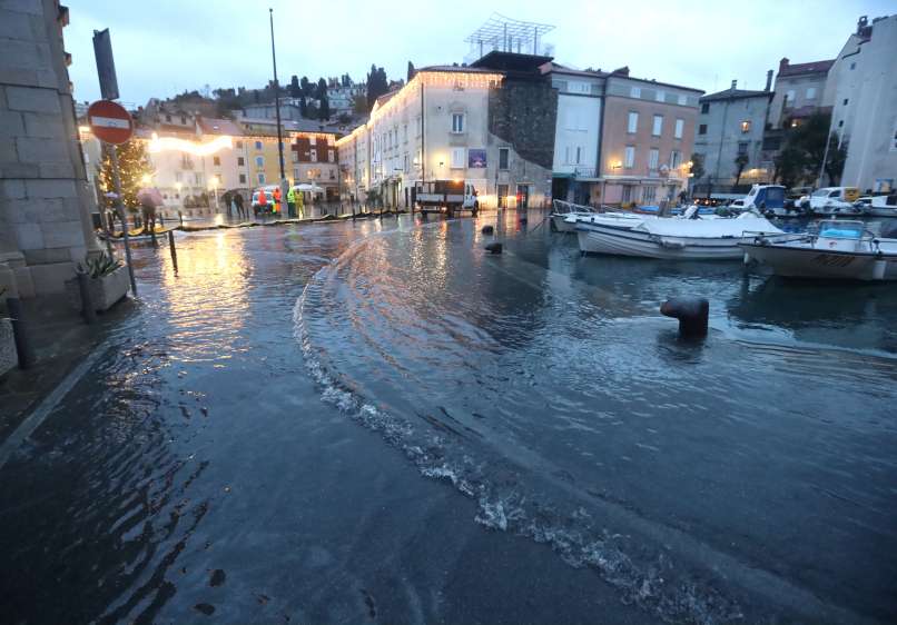 piran, plima