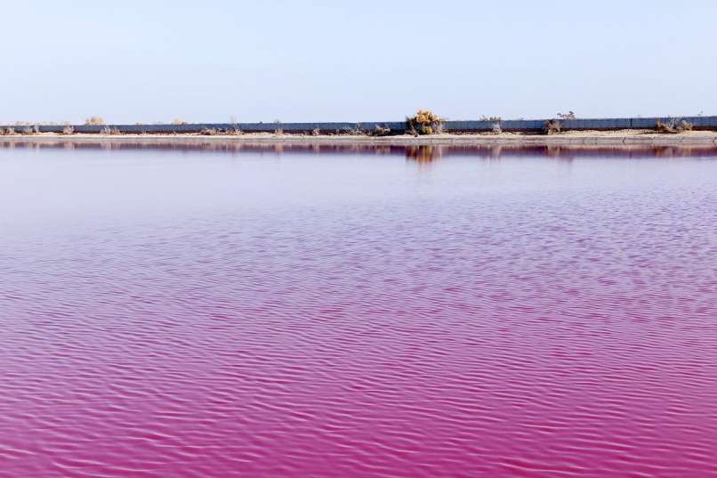 ROZA JEZERO