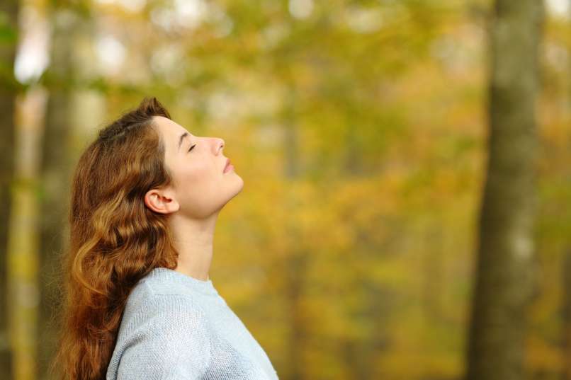 shutterstock_2078648797