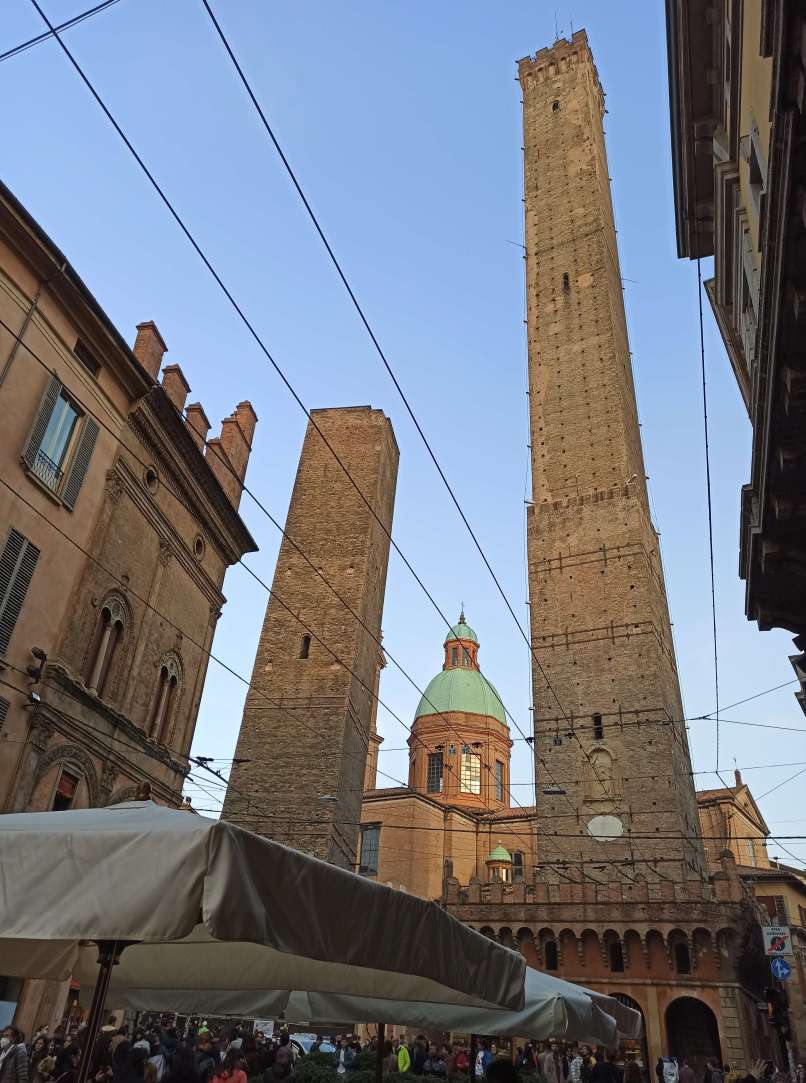 bolognia