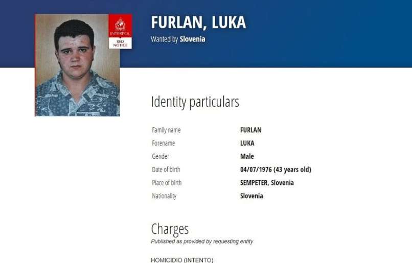 luka furlan