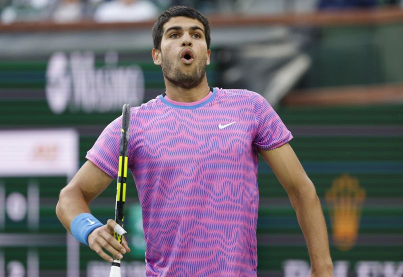 čebele, tekma, tenis Carlos Alcaraz