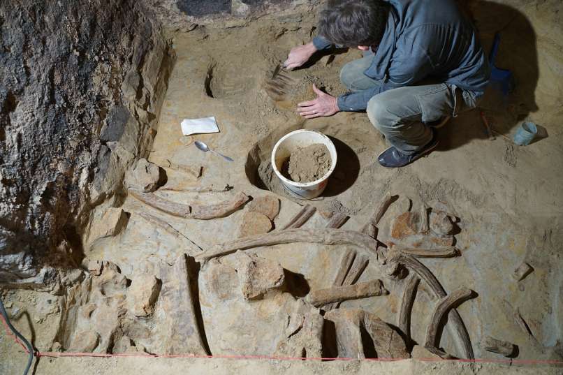 vinska-klet, mamut, kosti