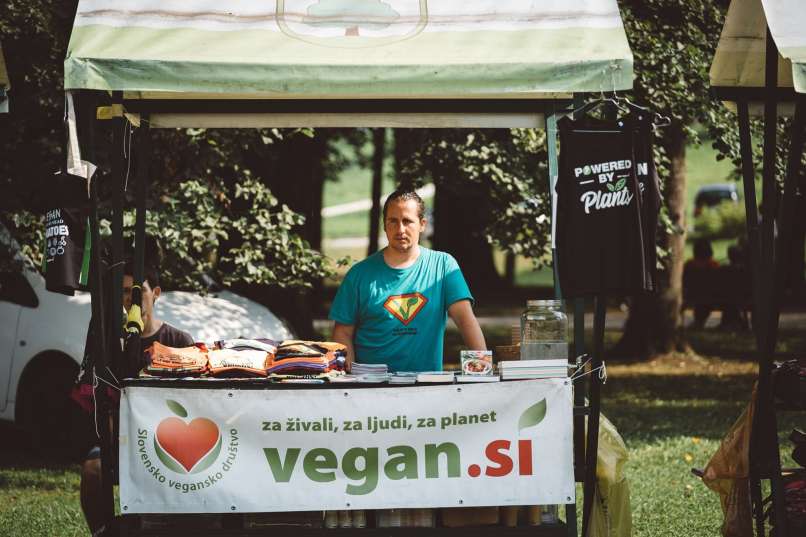 vegan 2