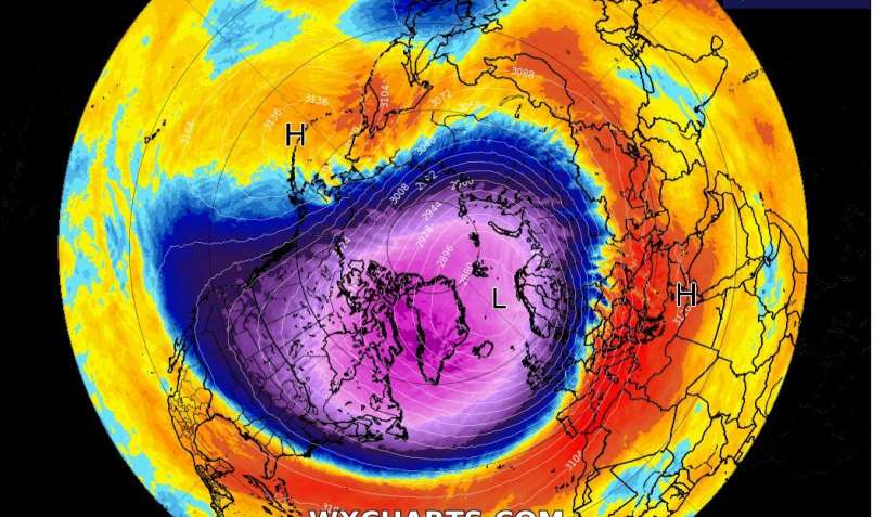 polarni vrtinec