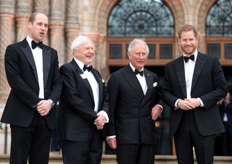 Princ William, Sir David Attenborough, Kralj Karel III