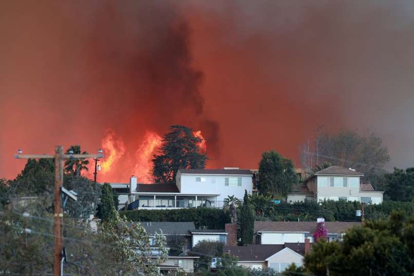 požar, palisades, los angeles