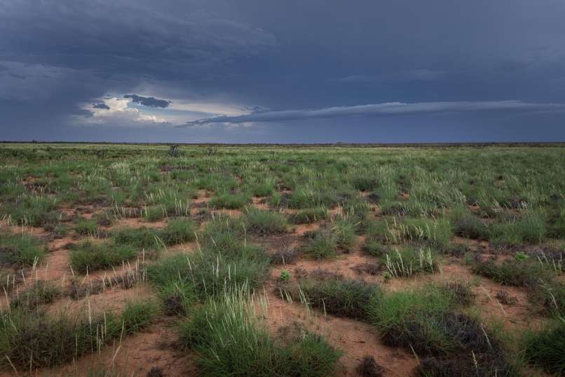 Pilbara