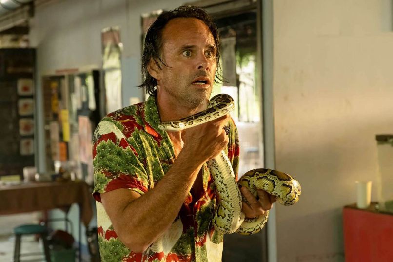 Walton Goggins