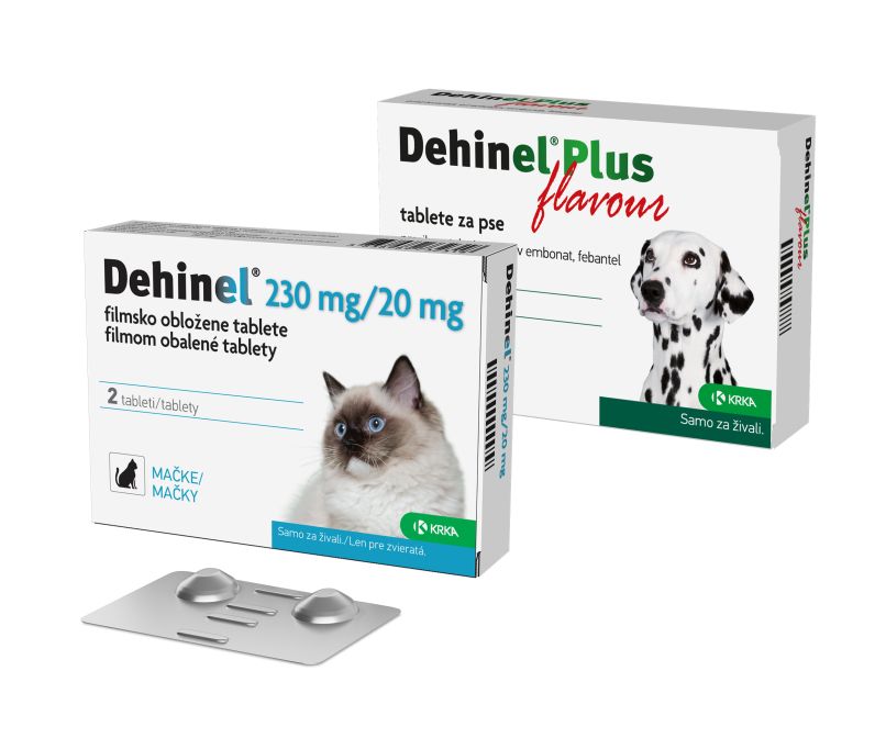 Package image_Dehinel_dog and cat