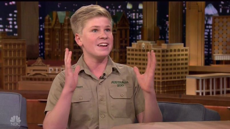 Robert Irwin