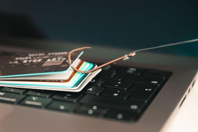 phishing, trnek, kartice, računalnik, podatki