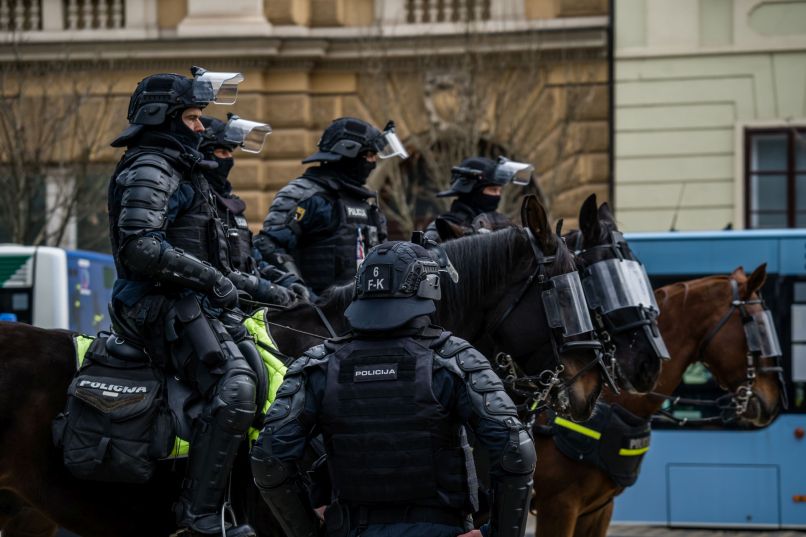 policija, slovenska policija, konj