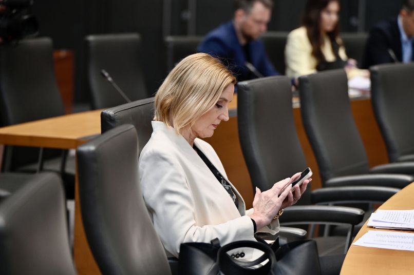 mojca šetinc pašek