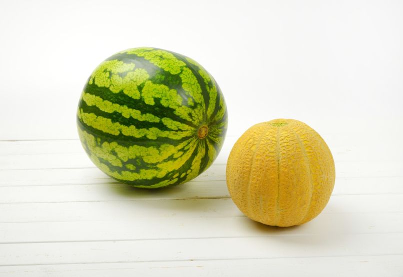 lubenica melona