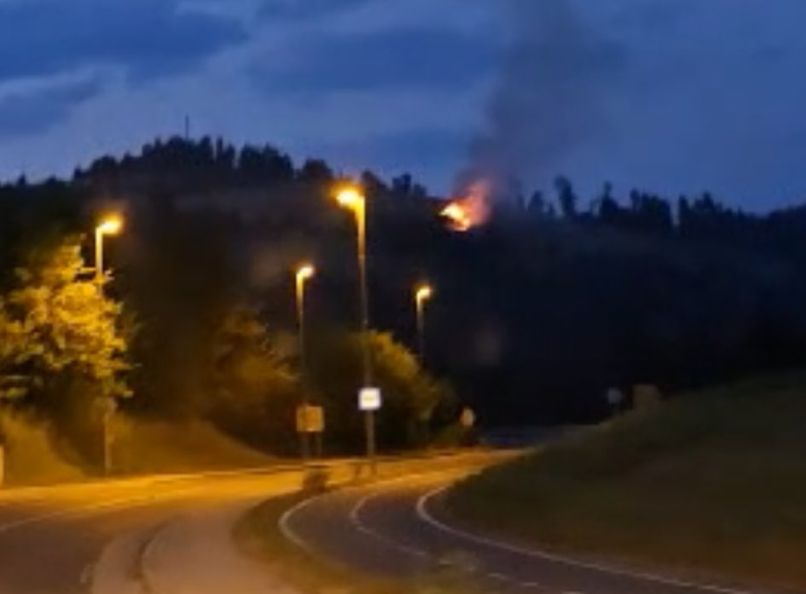 pozar, poljana