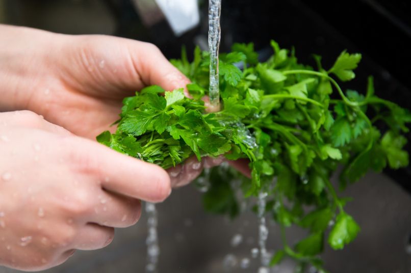 Svež peteršilj