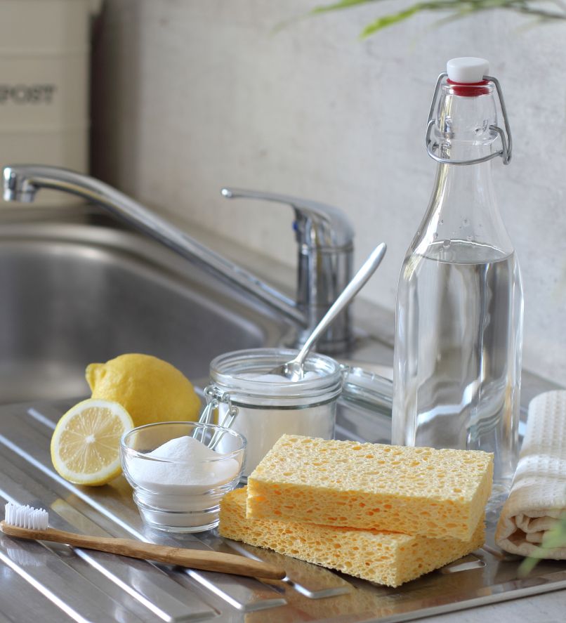 kis, naravna-cistila