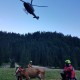 Planina Krstenica, krava, helikopter, reševanje