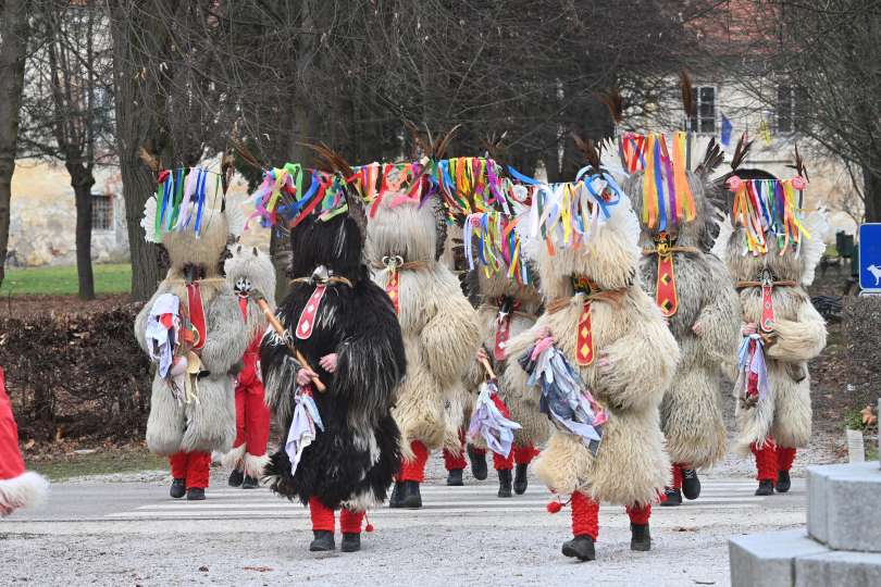 Foto V Beltincih Ptujski Kurenti Vestnik Si