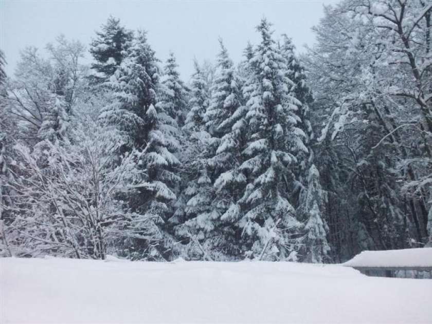 V&#38;F: Snežni rekorderji na JV Slovenije