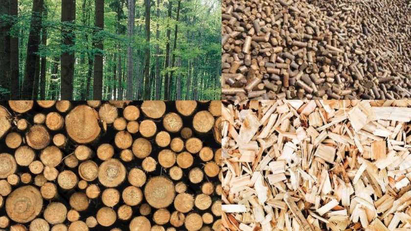 FOTO: V Kočevju nameravajo graditi sistem kogeneracije na lesno biomaso