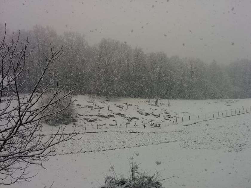 FOTO: Do jutri zjutraj na Kočevskem tudi 20 cm snega, na Dolenjskem manj