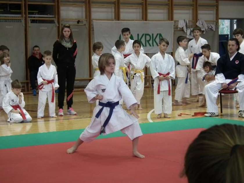 Lisička Open, karate turnir v Sevnici