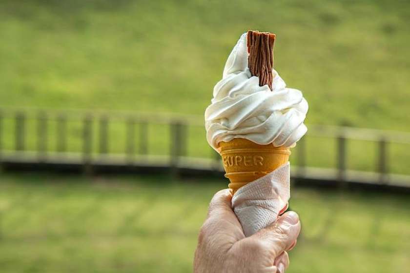 Na Češkem poletni hit sladoled iz smrdljivega sira
