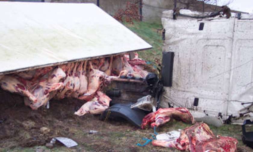 Med trupli prometne nesreče kradli meso