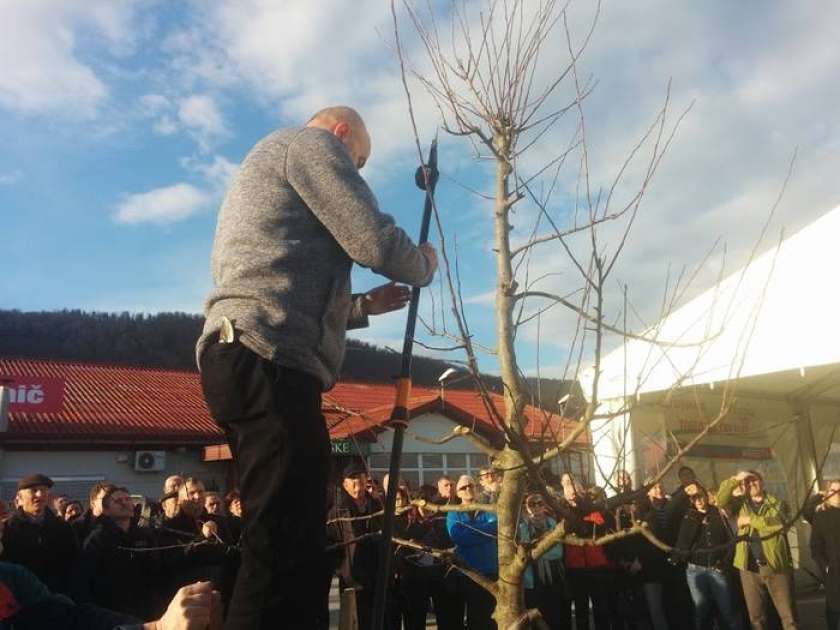 FOTO: Prikaz rezanja sadja