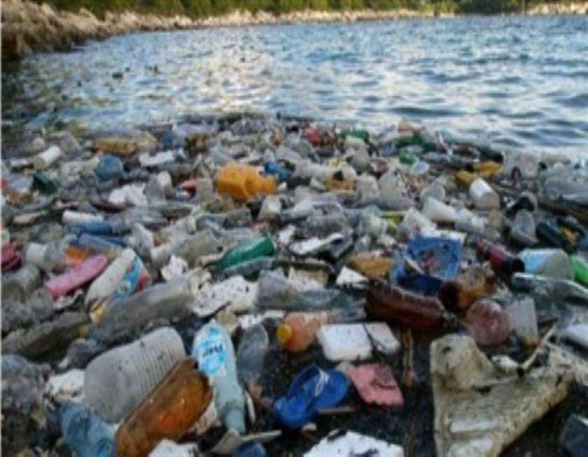 Prijave o odvrženih odpadkih