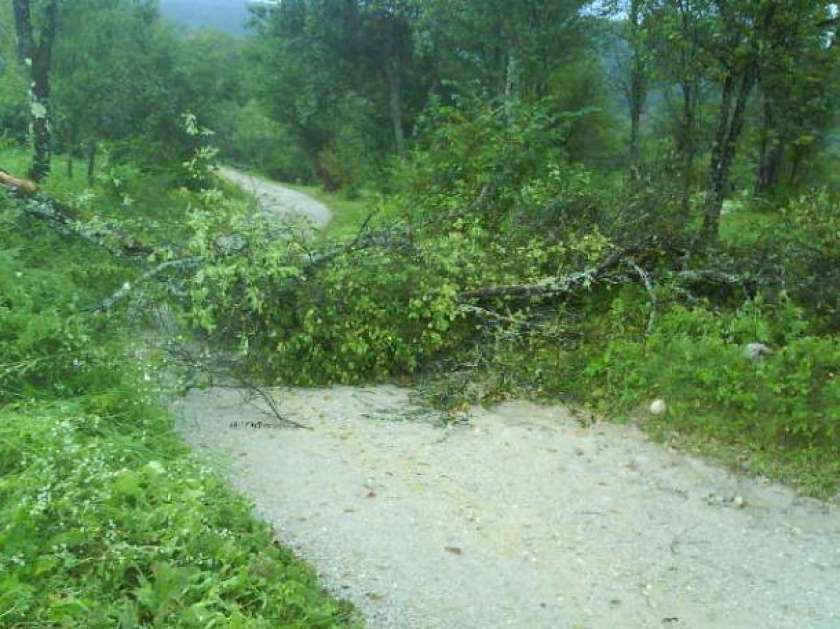 V Posavju veter podiral drevesa
