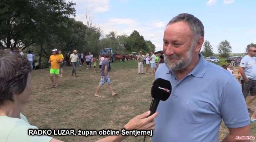 VIDEO: Tudi konji so plavali