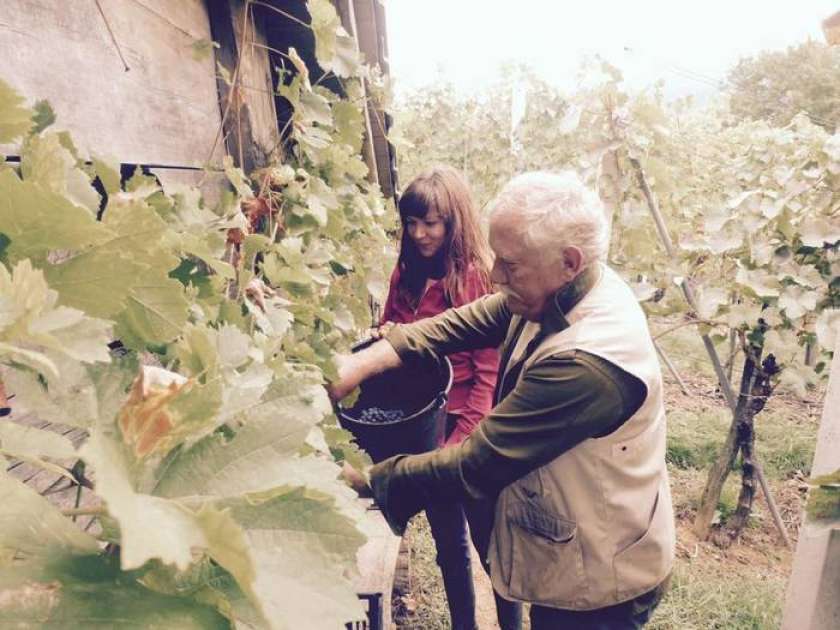 FOTO: Jasna Kuljaj iz vinograda v Stražo
