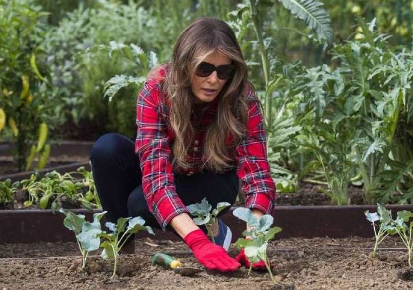 Melania Trump vrtnarila ob Beli hiši 