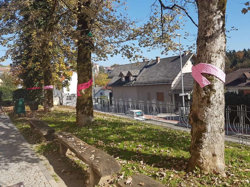 Drevesa pred Gimnazijo Novo mesto z rožnatimi pentljami