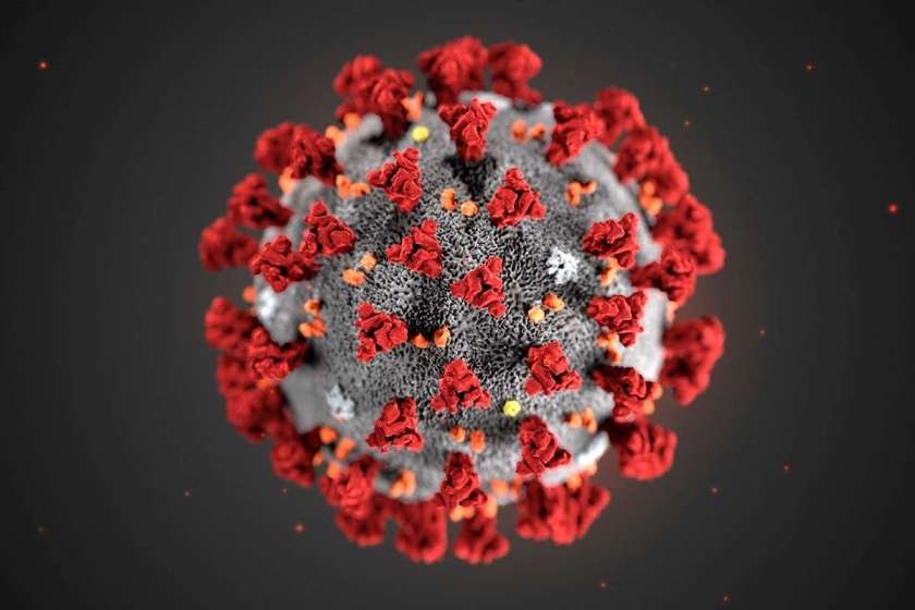 SKN (avdio): Kako množično je poročanje o novem korona virusu?