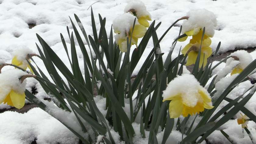 VIDEO&FOTO: Zima, pomlad in spet zima