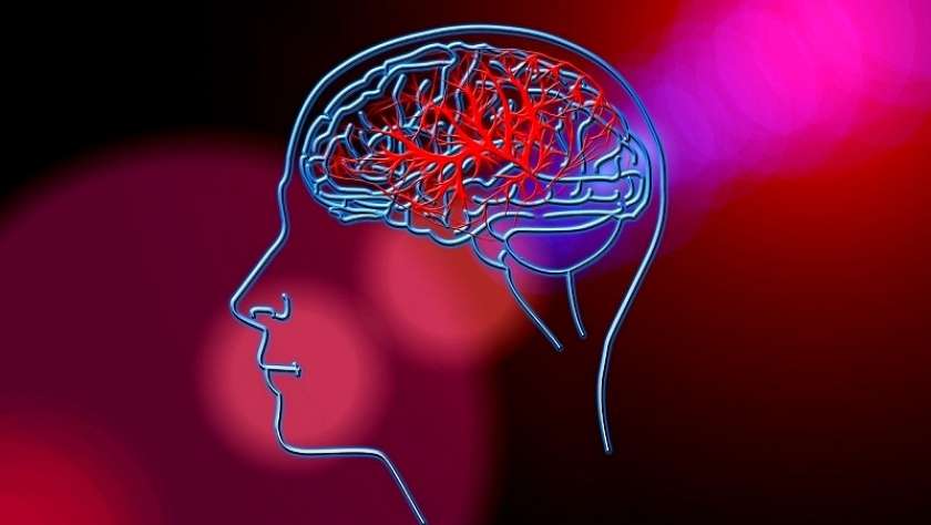 Koliko vemo o možganski kapi?